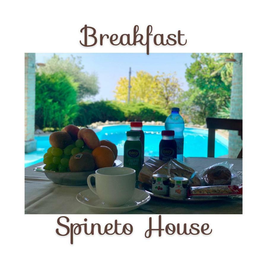 ホテル Spineto House Spineto Scrivia エクステリア 写真