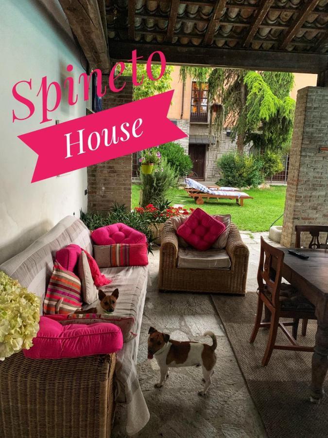 ホテル Spineto House Spineto Scrivia エクステリア 写真